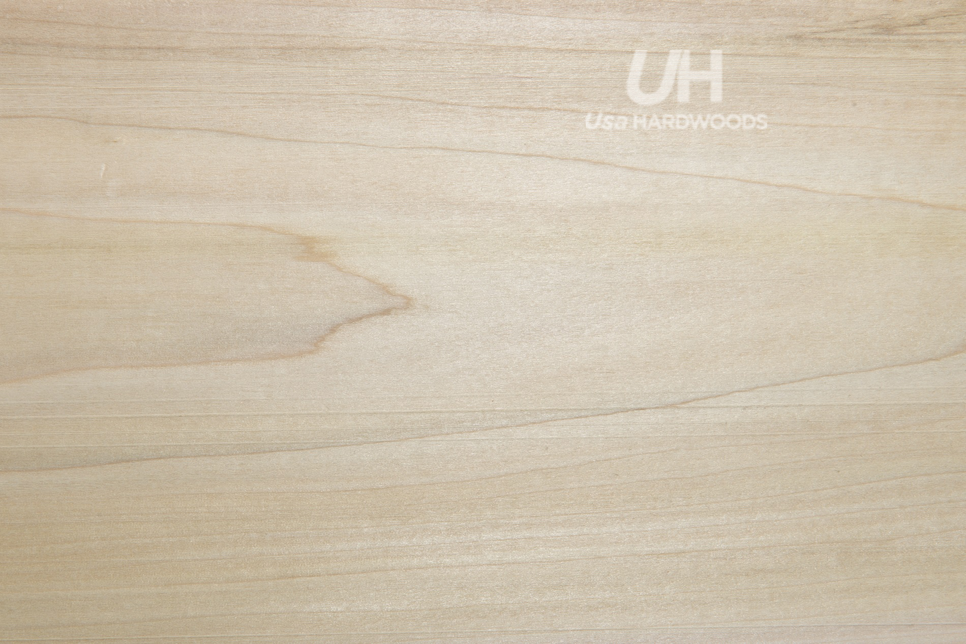 Poplar-madera-Americana
