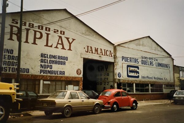 1981(1)